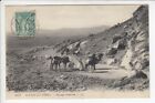 Cpa Afrique Algerie -  Paysage Saharien Sahara Chameau Camel Caravane 1906 ~D33