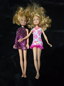 2 Stacie Puppen Barbie's Sister Mattel 2019 ? Mit Kleidung - Bild 1 von 7