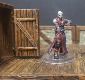 Pathfinder Battles - Hollowborn Rogue - 09 - Darklands Rising - Picture 1 of 1