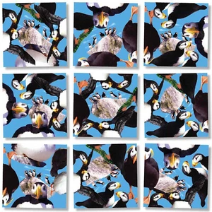 B Dazzle Puffins Scramble Squares 9 Piece Puzzle - Picture 1 of 1