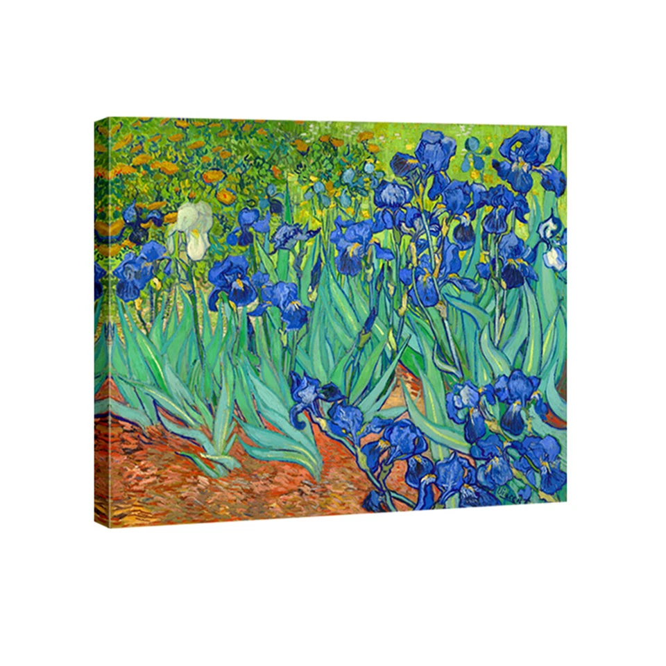 Irises by Van Gogh Fine Art Painting Reproduction Canvas Print Picture Framed - Image 1 of 4