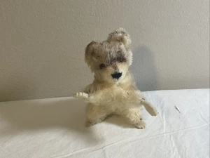 Vintage Steiff Raccy Raccoon Mohair 1960s Miniature Plush 3.5” No Tag Or Button - Picture 1 of 5