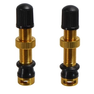 Miles Wide Schrader Valve Stem, 44mm, Pair - Gold - Picture 1 of 1