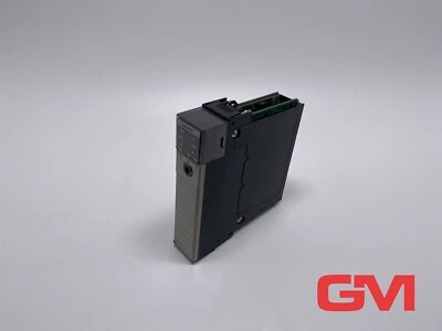 Allen-Bradley Processore 1756-L61 Controllogix 5561 S.B Rev H01 Fw 1.9 - Immagine 1 di 4