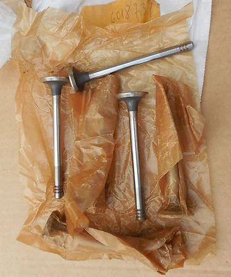 Ford Classic Car Exhaust Valves OHC 1.3 Granada Scorpio Sierra P100 Transit 6018731 - Image 1 of 3