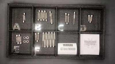 YAMAHA GT80 MX80 GT MX 80 TY80 TORNILLO INOXIDABLE MOTOR KIT CONJUNTO PULIDO Foto 1 de 3