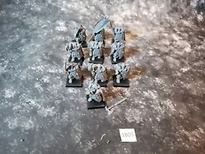 Warhammer Age of Sigmar Krieger des Chaos - Bild 1 von 4
