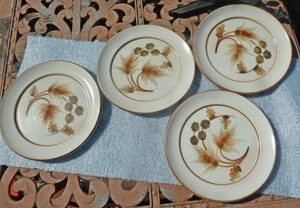 Lote de 4 Platos de Ensalada Denby Cotswold 8" Descatalogados 1973-1982 LEER DESCRIPCIÓN - Imagen 1 de 4
