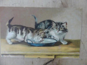 PC Tuck Humerous Cats Series 122, Cats Drinking - Picture 1 of 2