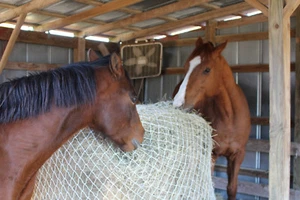 Red redonda de heno de caballo 6' x 5' ahorra dinero 1 1/2" elimina desperdicios #60 - Imagen 1 de 5