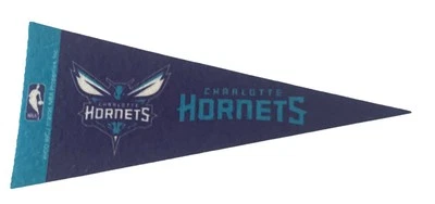 NBA Charlotte Hornets  Mini Pennant 4”x9" Wall Decor Flag Basketball Banner - Image 1 of 4