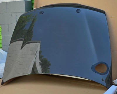 Campana extractora de fibra de carbono JDM Acura Integra Type-R 1995-2001 JDM Foto 1 de 4