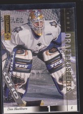 Major Minor League CHL OHL WHL LHJMQ ECHL Cards Inserts Rookies Collection (1/2)