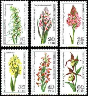 EBS East Germany 1976 - Flowers - Native Orchids - Michel 2135-2140 - MNH** - Image 1 of 4