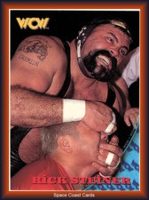 1998 Topps WCW/nWo Vintage Wrestling Card Rick Steiner #11