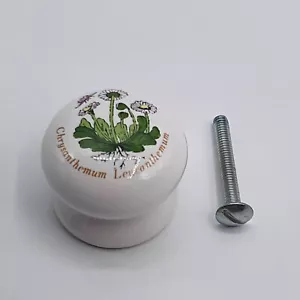 VTG Knob Portmeirion Botanic Garden Flowers Ceramic Drawer Pull Chrysanthemums - Bild 1 von 11