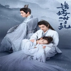 Chinese Drama destiny of love Chinese Sub 错嫁世子妃 Boxed 2025 - Imagen 1 de 3