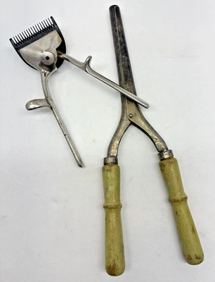 Lote De Colección De 2 Plancha De Peluquería Y Herramientas De Acicalamiento Foto 1 de 4