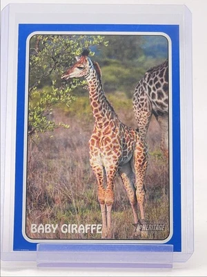 CINTURÓN BRANDON BEBÉ JIRAFA 2024 TOPPS HERENCIA 1975 ZOO'S WHO AZUL VAR Q4597 Foto 1 de 2