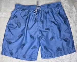 Kirkland Signature Lined Swim Trunks Mens XL Blue Pineapples Drawstring - Picture 1 of 13