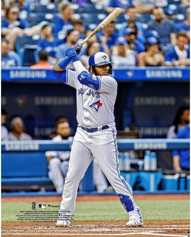 Vladimir Guerrero Jr. Toronto Blue Jays Unsigned Batting Stance vs Cover