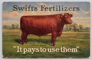 Postcard Swift's Fertilizers "It Pays to Use Them" - Salesman Advertising - Cow - Picture 1 of 3