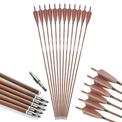 12X 31" Pure Carbon Arrows Feather SP340 400 500 600 Archery Bow Hunting Target - Image 1 of 4