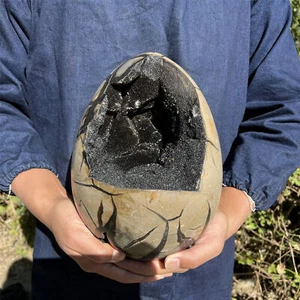 21LB Natural dragon septarian geode quartz cluster crystal egg Reiki ET767 ea-0 - Picture 1 of 12