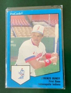 1989 ProCards Minor League Lorenzo Bundy 1223