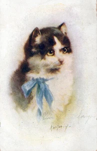 Postal firmada por Kenyon gato solitario con cinta azul - Imagen 1 de 2