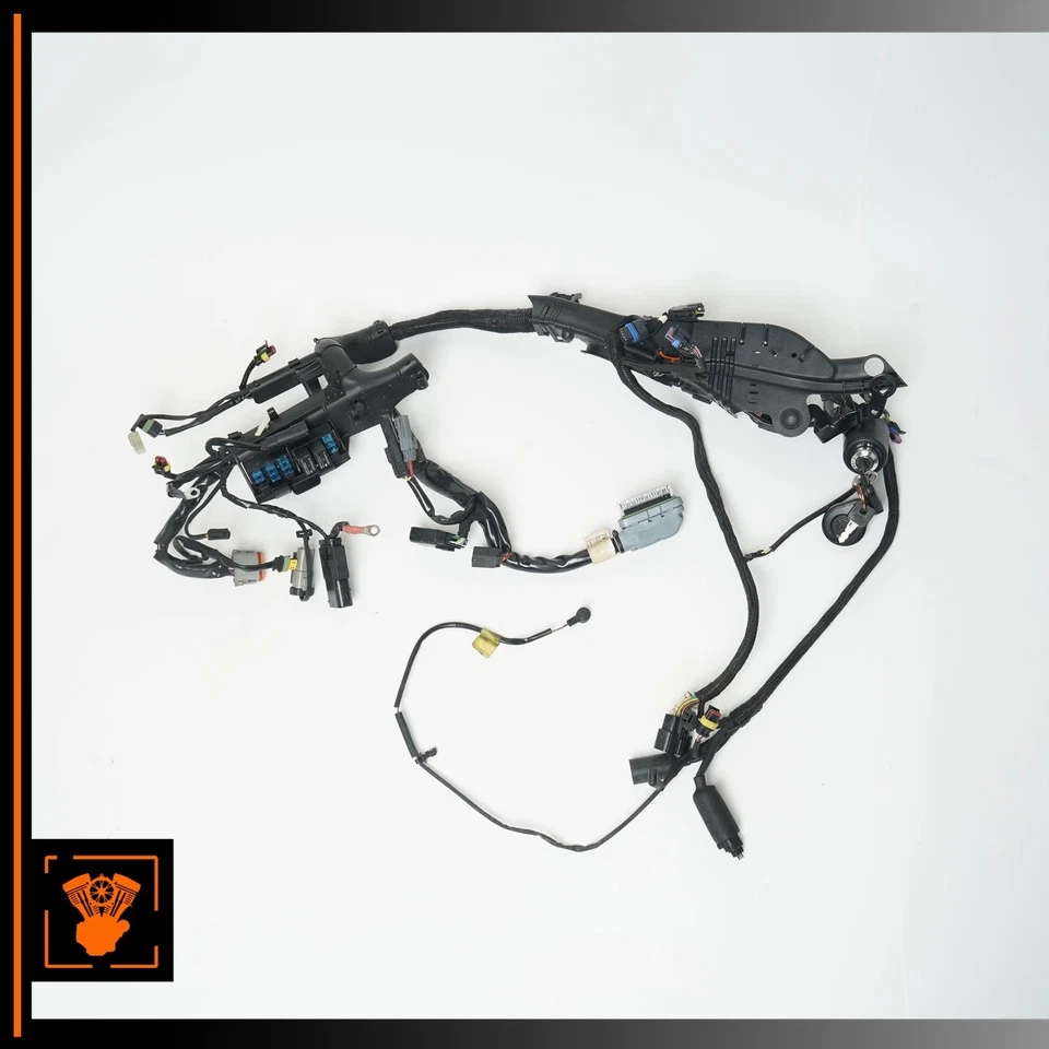 Arnés de cableado principal Harley XL1200L Sportster 07-12 70181-08 OEM Foto 1 de 4
