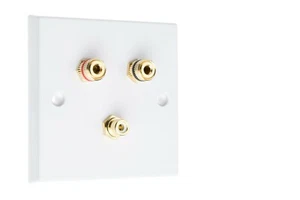Piastra da parete altoparlante 1.1 2 pali di rilegatura oro + 1 audio RCA AV non saldato - Foto 1 di 5