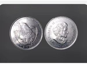 CANADA 1905 2005 CANADIAN SASKATCHEWAN RARE QUARTER FREE THE BIRD 25 CENT COIN - Picture 1 of 1