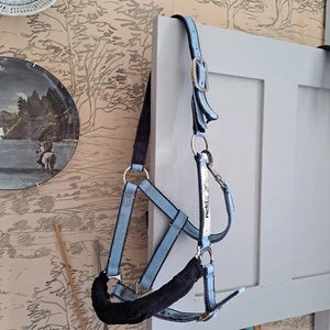 FIeld Safe headcollar cob blue - Picture 1 of 5