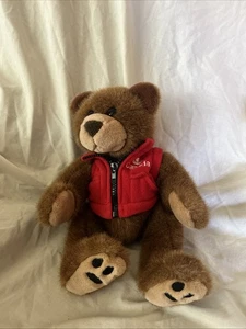 Kanada Braunbär Snookie Plüschtier Stofftier Haus Kuschelbären Hausqualität - Bild 1 von 7