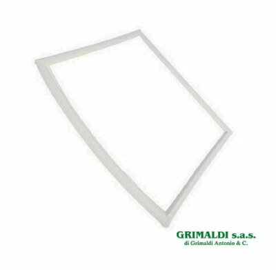 GUARNIZIONE PORTA CONGELATORE FRIGO ELECTROLUX REX AEG ZANUSSI 2248007094 - Immagine 1 di 2