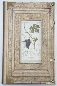 Figments Studio Art Frame Journal Grape Vine Diary Gardening 6"x 9" Inches New - Picture 1 of 10
