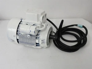 237826 Neu - ohne Karton; Frigoscandia A49219758 Elektromotor; 0,12PS; 110VAC - Bild 1 von 4
