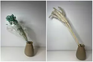 Natural Dried White Pampas Grass and Phalaris Canary Grass Blue Green Turquoise - Picture 1 of 17