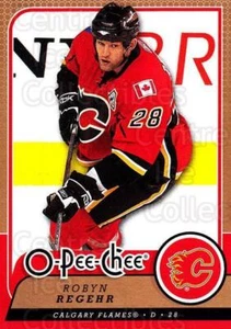 2008-09 O-Pee-chee #352 Robyn Regehr - Picture 1 of 1