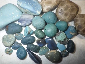 Kleine Leland blaue Steine mit Petoskey Steinen - Bild 1 von 4