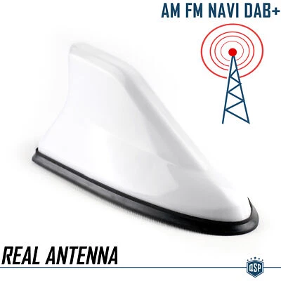 Antenna Auto a PINNA DI SQUALO Bianca Universale VERA Ricezione RADIO AM-FM-DAB+ - Immagine 1 di 4