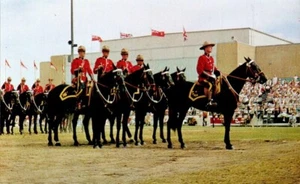 Cartolina Cromo Royal Canadian Mounted Police Musical Ride Winnipeg Canada P1858 - Foto 1 di 2