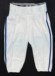 adidas, Icon Pro  Knicker Baseball Pants White | Royal Piped. Youth Large - Picture 1 of 5