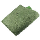 Pet Carpet Lawn Tortoise Mats Terrarium Glass Moss Animal Area Rugs