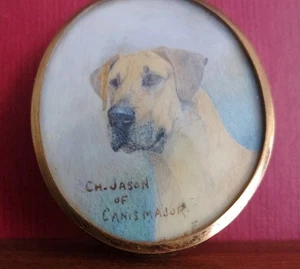 Deutsche Dogge Original Portrait VON MILLIE FOX 1937 Crufts CH. Jason von Canis Major - Bild 1 von 10