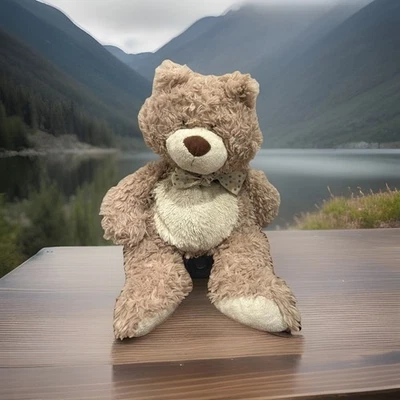 Baby GANZ CASHMERE  Collection Stuffed Animal Brown teddy Bear 18” - Image 1 of 4