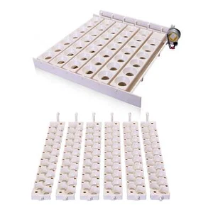Little Giant Automatic Auto Egg Turner 6300 & Quail Rails Racks 6302 | Incubator - Picture 1 of 6