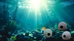 Aquarium Keramik / Handmanufaktur / Keramik MADE IN GERMANY - Bild 1 von 5