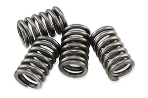 EBC Brakes CSK148 Heavy Duty Clutch Spring Kit CSK148 Engine Clutches - Bild 1 von 5